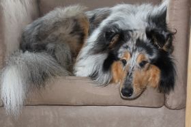 Barb 092.jpg